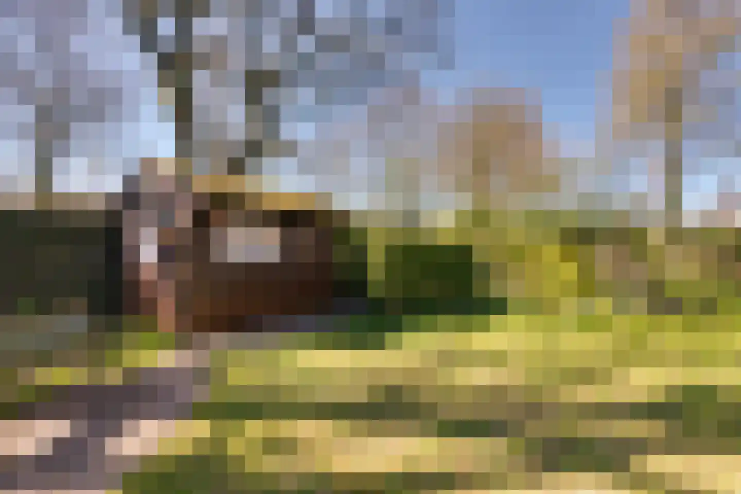 De Vonderkampen 43 Beilen thumbnail 23