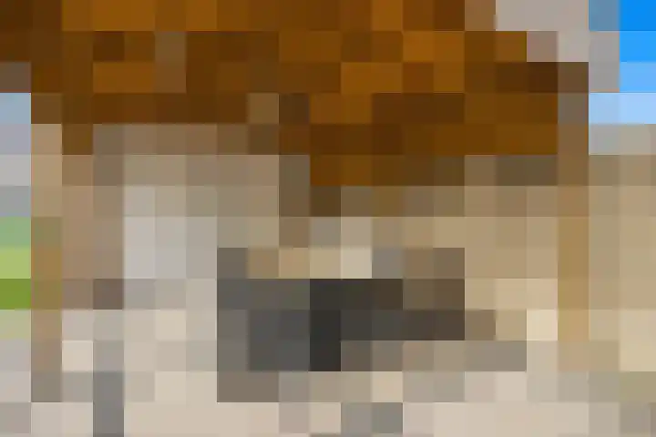 De Vooghtstraat 14 Made thumbnail 43
