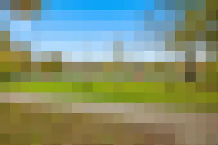 De Vooghtstraat 14 Made thumbnail 48