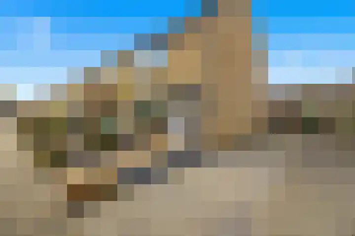 De Vooghtstraat 14 Made thumbnail 5