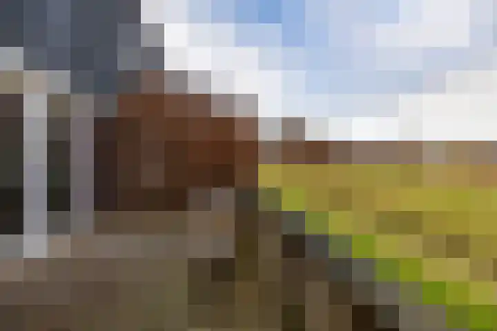 De Voorakker 8 Eelde thumbnail 15