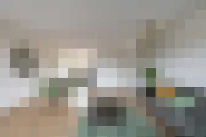 De Voorakker 8 Eelde thumbnail 17