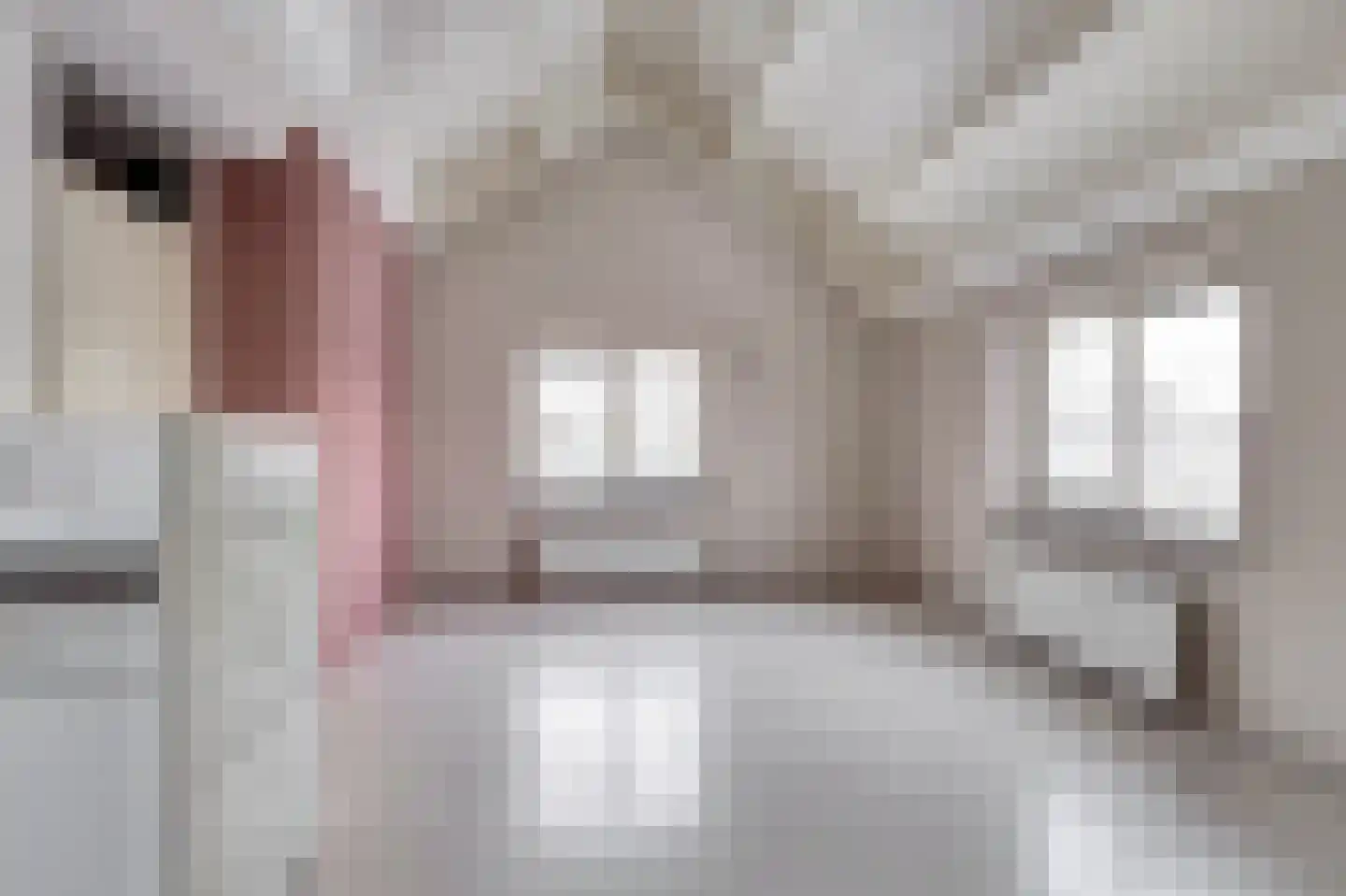 De Voorakker 8 Eelde thumbnail 18