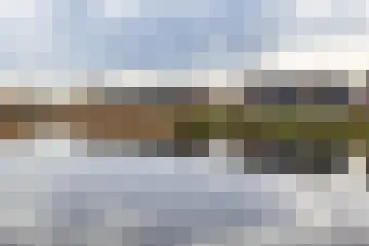 De Voorakker 8 Eelde foto 2