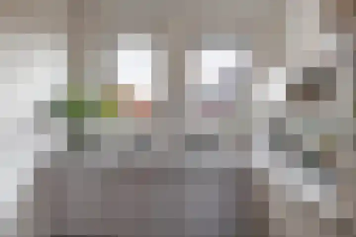 De Voorakker 8 Eelde thumbnail 23