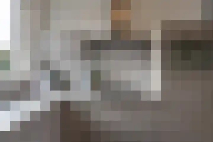 De Voorakker 8 Eelde thumbnail 24