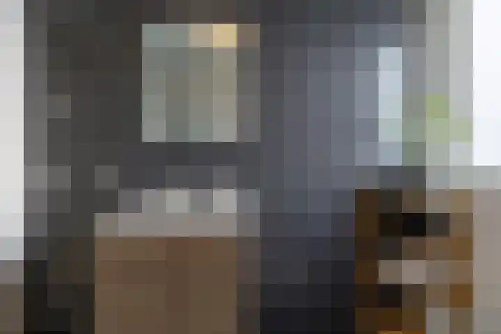De Voorakker 8 Eelde thumbnail 34