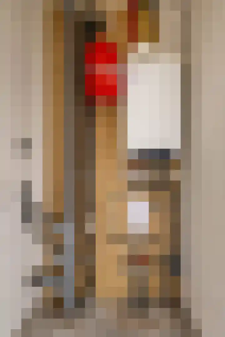 De Voorakker 8 Eelde thumbnail 37