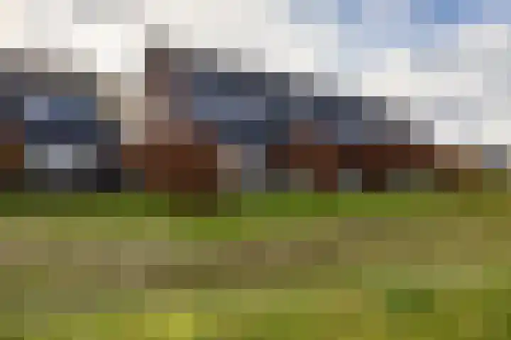 De Voorakker 8 Eelde thumbnail 4