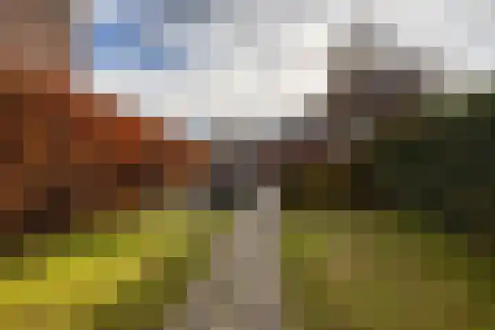 De Voorakker 8 Eelde thumbnail 41
