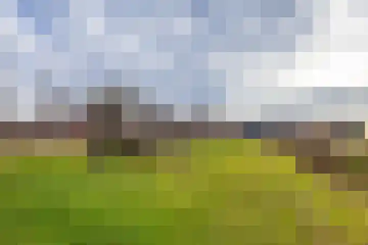 De Voorakker 8 Eelde thumbnail 46