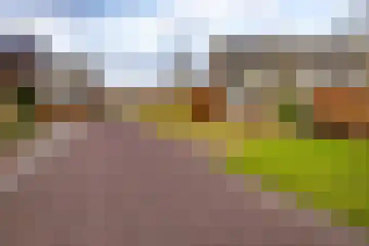 De Voorakker 8 Eelde thumbnail 5