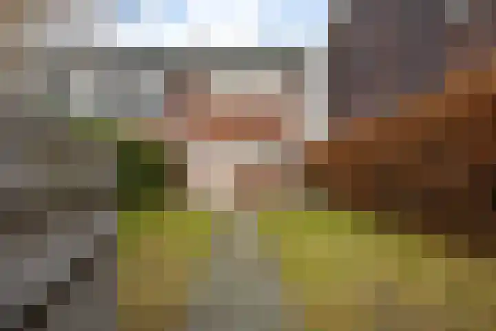 De Voorakker 8 Eelde thumbnail 8