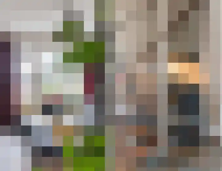 De Voren 1 Hapert thumbnail 10