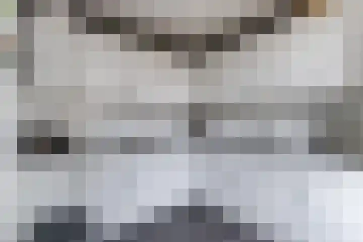 De Voren 1 Hapert thumbnail 13