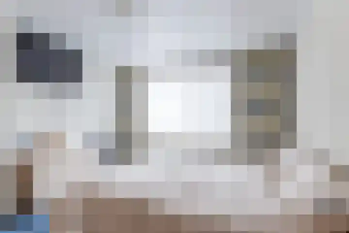 De Voren 1 Hapert thumbnail 19