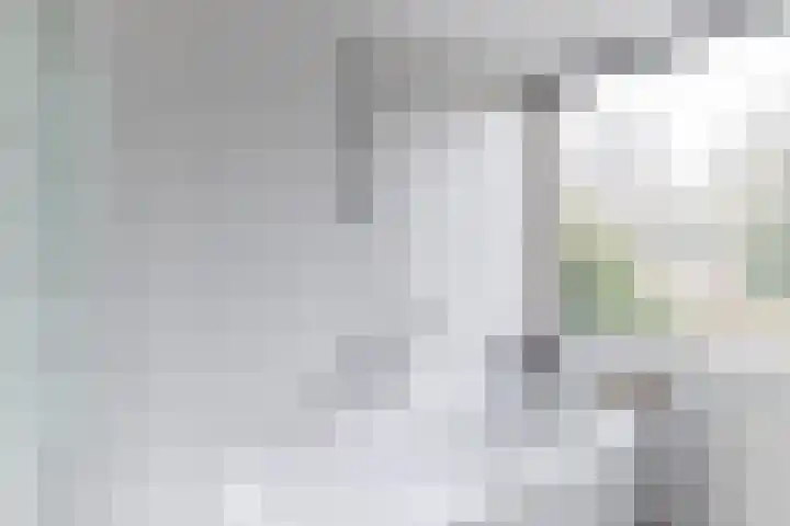 De Voren 1 Hapert thumbnail 25