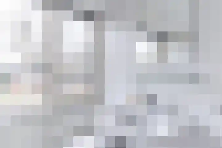 De Voren 1 Hapert thumbnail 26