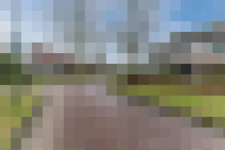 De Voren 1 Hapert thumbnail 44