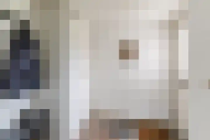 De Voren 1 Hapert thumbnail 5