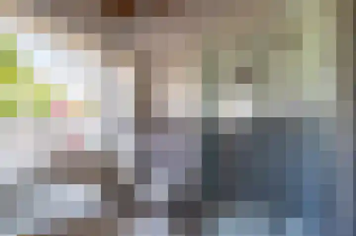 de Vosholen 33 Sappemeer thumbnail 20