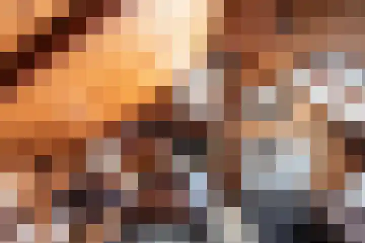 de Vosholen 33 Sappemeer thumbnail 23