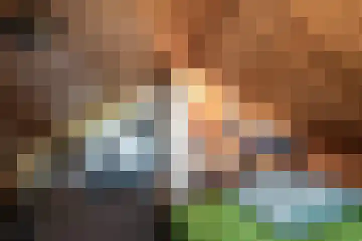de Vosholen 33 Sappemeer thumbnail 26