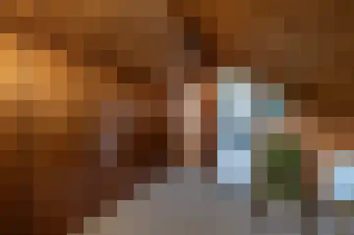 de Vosholen 33 Sappemeer thumbnail 27