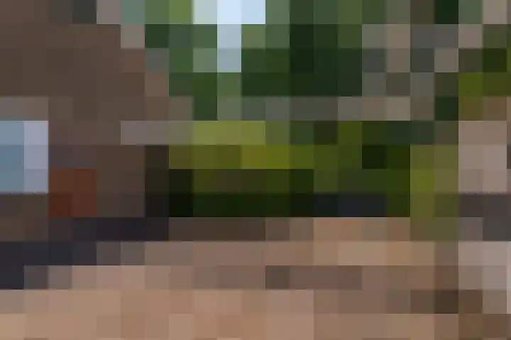 de Vosholen 33 Sappemeer thumbnail 29