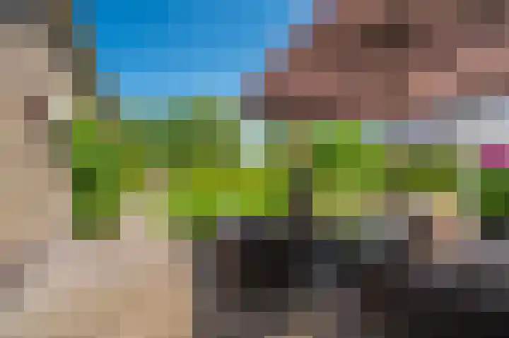 de Vosholen 33 Sappemeer thumbnail 34
