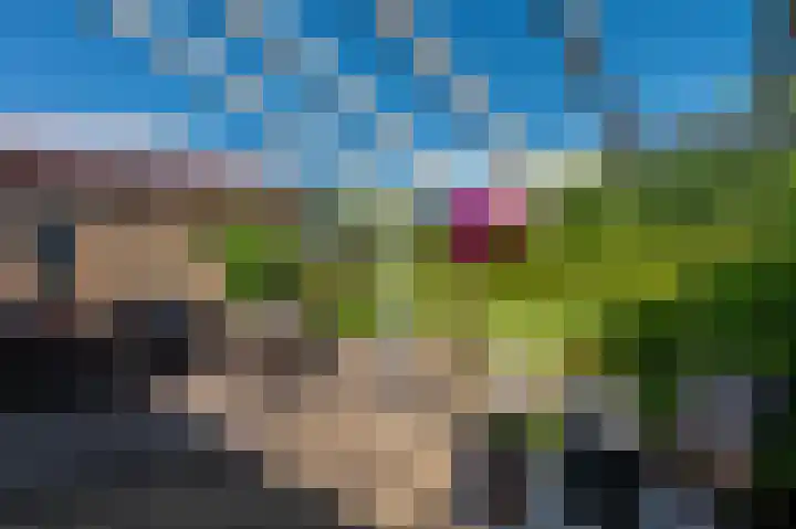 de Vosholen 33 Sappemeer thumbnail 35