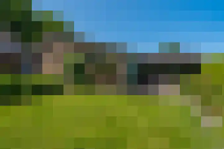de Vosholen 33 Sappemeer thumbnail 37