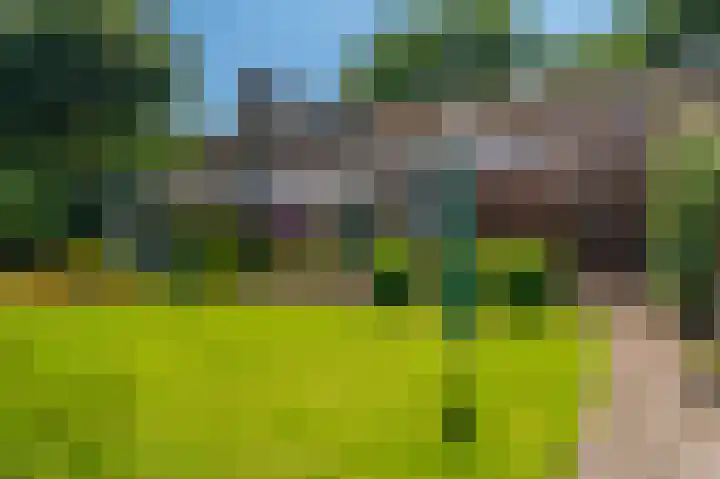 de Vosholen 33 Sappemeer thumbnail 38