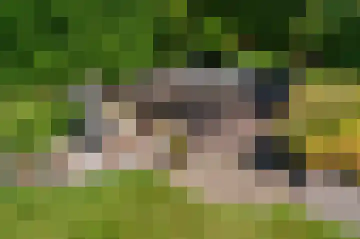 de Vosholen 33 Sappemeer thumbnail 39