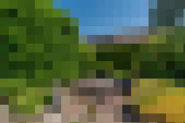de Vosholen 33 Sappemeer thumbnail 40