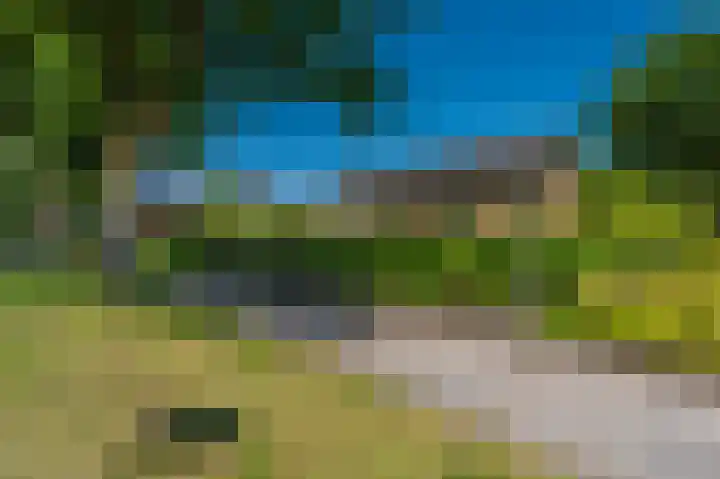 de Vosholen 33 Sappemeer thumbnail 44