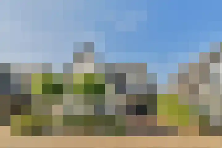 De Vrede 51 Uitgeest