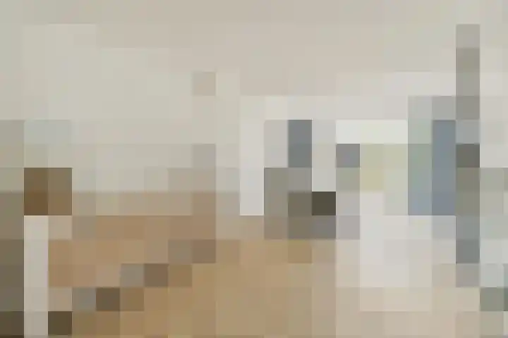 De Vrede 51 Uitgeest thumbnail 10