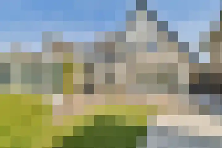 De Vrede 51 Uitgeest thumbnail 17