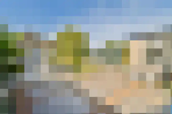 De Vrede 51 Uitgeest thumbnail 18