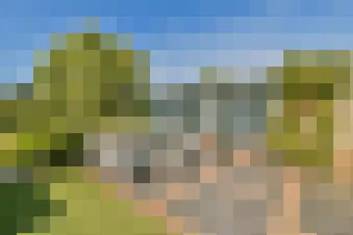 De Vrede 51 Uitgeest thumbnail 21