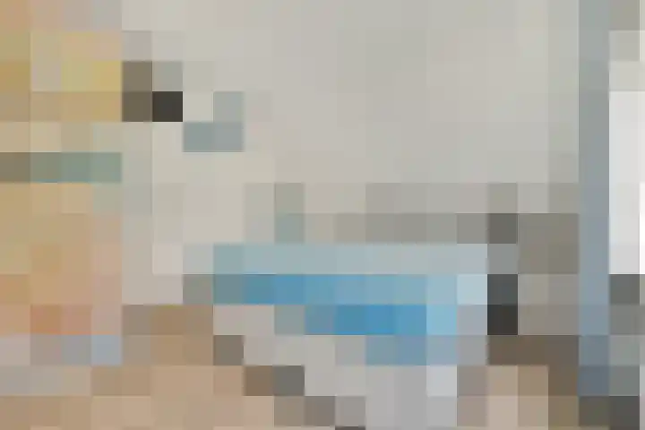 De Vrede 51 Uitgeest thumbnail 26