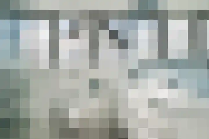 De Vrede 51 Uitgeest thumbnail 27