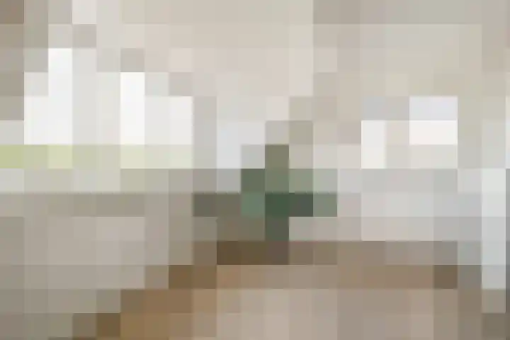De Vrede 51 Uitgeest thumbnail 31