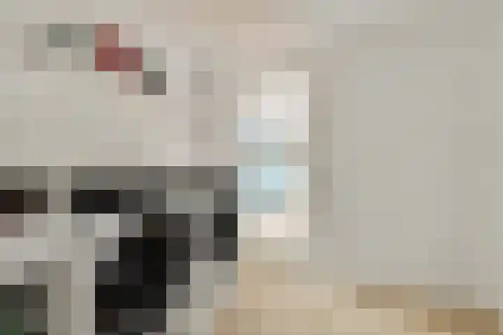 De Vrede 51 Uitgeest thumbnail 36