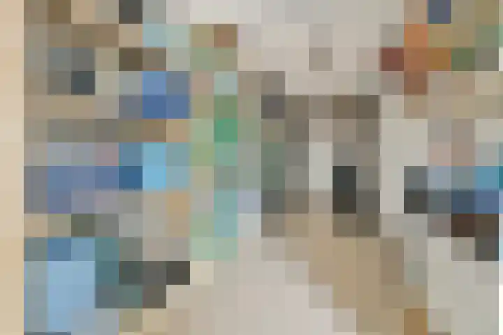 De Vrede 51 Uitgeest thumbnail 37