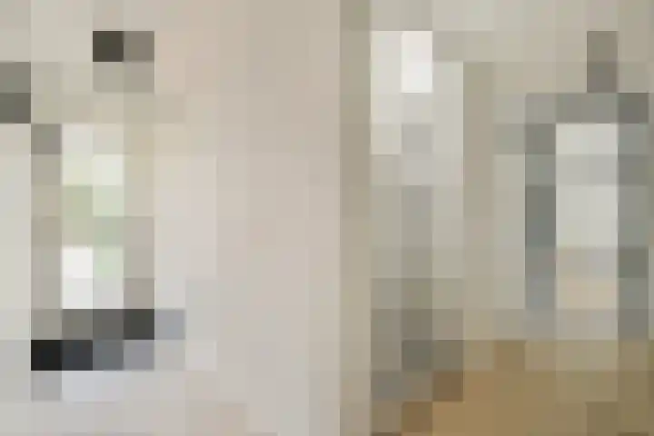 De Vrede 51 Uitgeest thumbnail 4