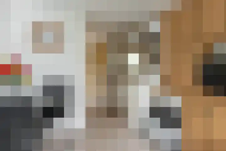De Vriehof 10 Rohel thumbnail 10
