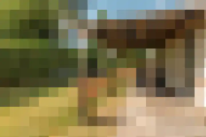 De Vriehof 10 Rohel thumbnail 15