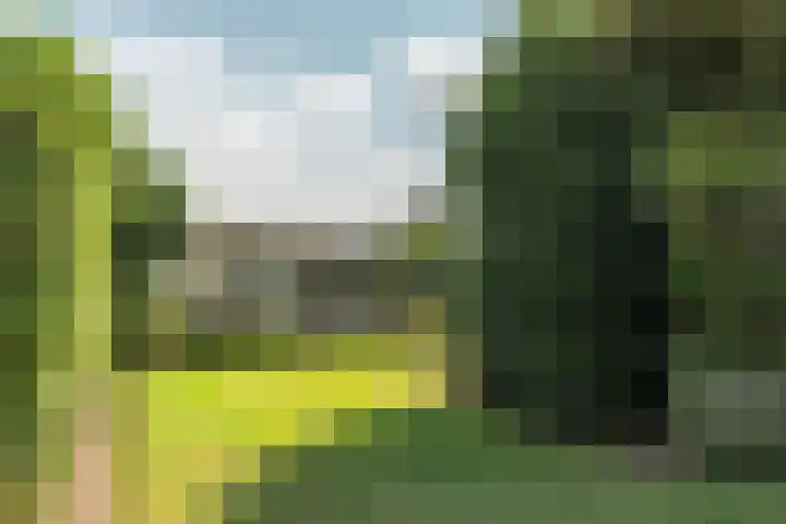De Vriehof 10 Rohel thumbnail 22